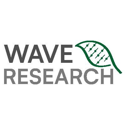 Wave Research
